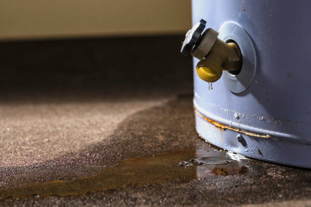 Best Local water damage restoration  in Wilmore, KY