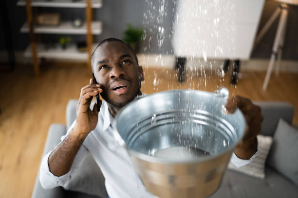 Best Basement water damage restoration  in Wilmore, KY