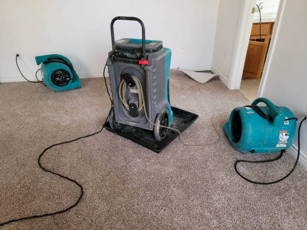 Best Flooded house restoration  in Wilmore, KY