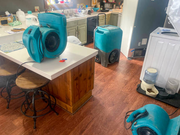 Best 24/7 water damage repair  in Wilmore, KY