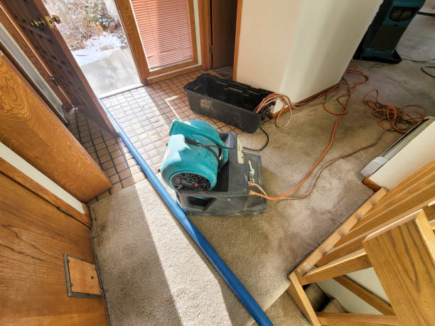 Best 24-hour water damage restoration  in Wilmore, KY