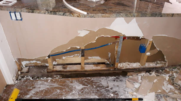 Best Ceiling water damage repair  in Wilmore, KY