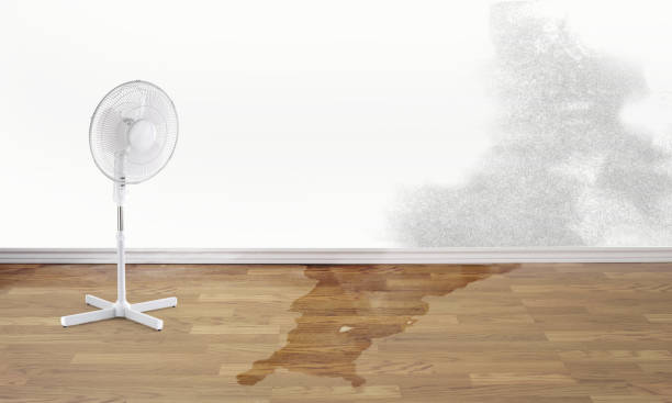  Wilmore, KY Water damage restoration Pros