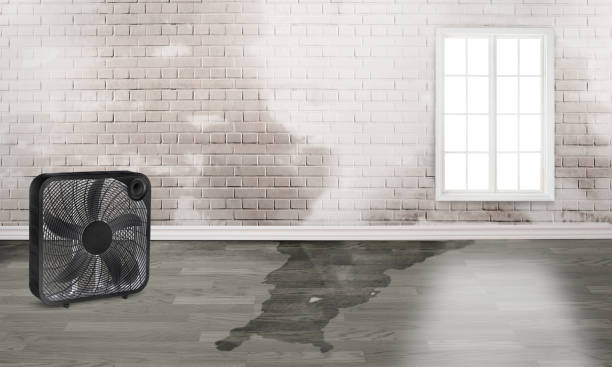 Best Commercial water damage restoration  in Wilmore, KY